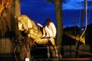 Le Reve d Erica 5 * 5184 x 3456 * (6.25MB)